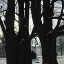 imgp2855.jpg
