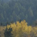 dsc_1720.jpg