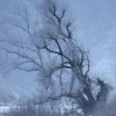 dsc_7176.jpg