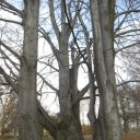 dsc_2383.jpg