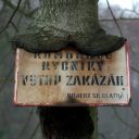 imgp2467.jpg