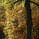 dsc_1852.jpg