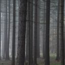 dsc_2147.jpg