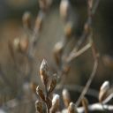dsc_2107.jpg