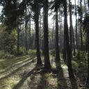 dsc_1666.jpg