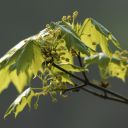 dsc_2567.jpg