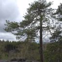 dsc_1770.jpg