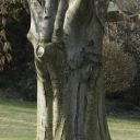 dsc_2105.jpg