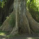 mauritius-138.jpg