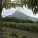 mauritius-085.jpg