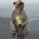 mauritius-057.jpg