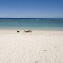 mauritius-214.jpg