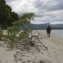 mauritius-008.jpg