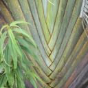 mauritius-038.jpg