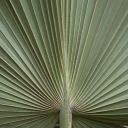 mauritius-064.jpg