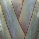 mauritius-074.jpg