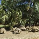 mauritius-200.jpg