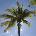 mauritius-227.jpg