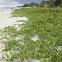 mauritius-007.jpg