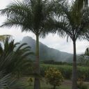mauritius-084.jpg