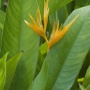 mauritius-133.jpg