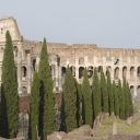 roma-090.jpg