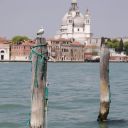 benatky_2010-298.jpg