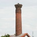svatba_polakovi_610.jpg
