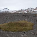 island_2012-0725.jpg