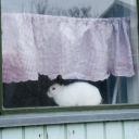 island_2012-0471.jpg