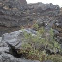 _dsc9747.jpg