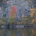 _dsc8128.jpg