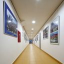 Atletický stadion Plzeň